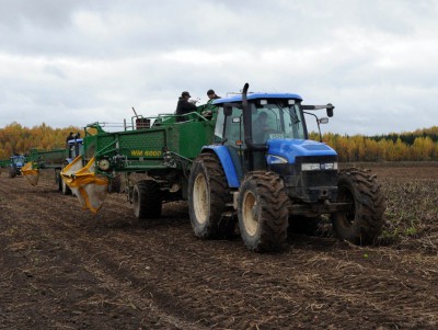 В Тверской области уборка сельхозкультур завершилась на 83,2 тысячах га полей - новости ТИА