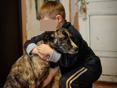 Зооволонтеры просят помочь защитить маму погибшего ребенка - новости ТИА
