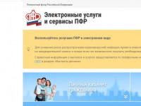 ПФР упростил назначение и продление выплат в условиях эпидемии  - Новости ТИА