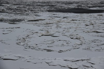 В Тверской области не удалось спасти провалившегося под лед мужчину - Новости ТИА
