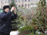 В тверских колониях деревья украсили красными ленточками - Новости ТИА