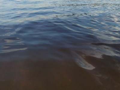В центре Твери утонувшего человека ищут водолазы - Новости ТИА