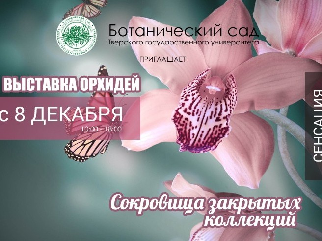 <strong>Автор: ТИА</strong><p></p>