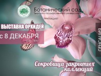 В Твери открывается выставка орхидей "Сокровища закрытых коллекций" - Новости ТИА