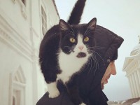 Творец десятой жизни: известный тверской зоозащитник Николай Морозов о котах и людях - новости ТИА