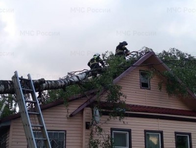 В Тверской области деревья упали на дом - новости ТИА