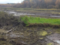 Собственник участков на реке Крапивня нарушил закон и  обязан открыть доступ жителям к воде - Новости ТИА