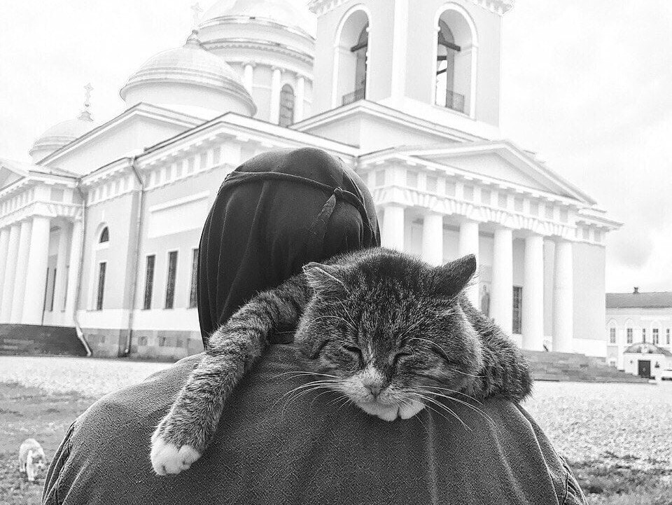 <strong>Автор: ТИА</strong><p></p>