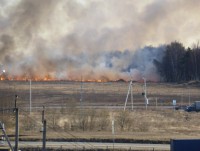 Пожароопасный период в Тверской области: в регионе завели три уголовных дела на пироманов-любителей - Новости ТИА