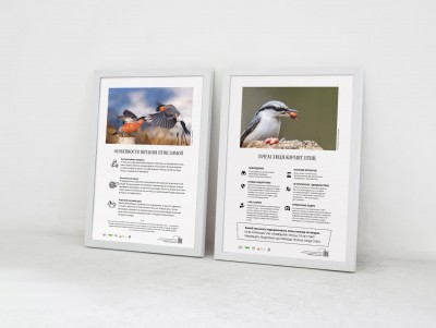 В тверском ТЮЗе открылась фотовыставка о том, чем кормить птиц зимой - новости ТИА