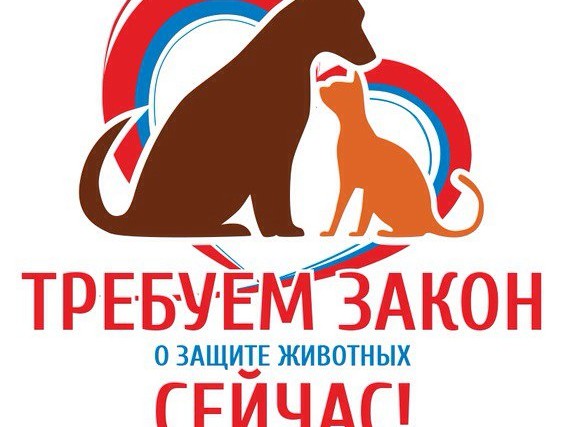 <p></p>