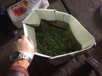 У жителя Ржева дома обнаружили 60 граммов марихуаны для личного потребления - новости ТИА