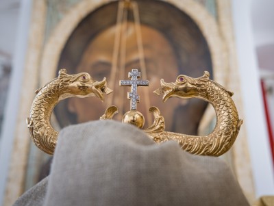 Отвечаем на вопрос читателей: откуда в православных храмах взялись драконы - Новости ТИА