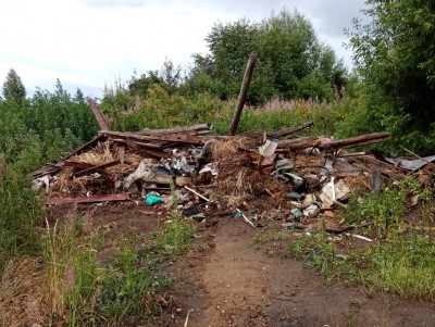 В Тверской области 223 га пашни заросли сорняками и мусором - новости ТИА