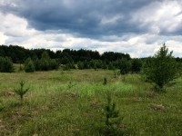 Собственник земли снял плодородный слой почвы на участке, чем причинил ущерб в несколько миллионов рублей - Новости ТИА