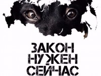 16 сентября тверичан приглашают на митинг в поддержку Закона о защите животных - Новости ТИА