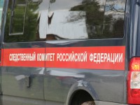 В Тверской области будут судить женщину за убийство сожителя - Новости ТИА