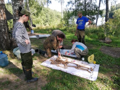 Поисковики нашли останки зверски убитой партизанки в Тверской области - новости ТИА