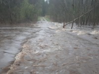 Из-за ливней в Тверской области бурлящие потоки размыли дороги - Новости ТИА