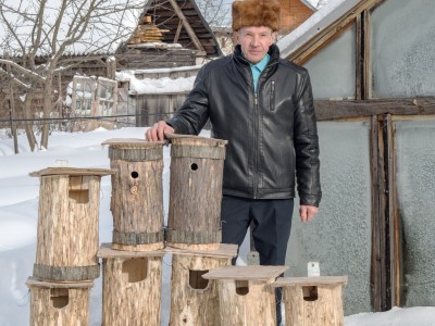 В лесу под Тверью орнитологи и бёрдеры развесят домики для сов - Новости ТИА