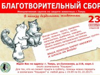 23 сентября в Твери пройдёт благотворительный сбор в помощь бездомным животным - Новости ТИА