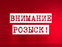 В Тверской области разыскивают водителя, который сбил пешехода и скрылся с места ДТП - Новости ТИА