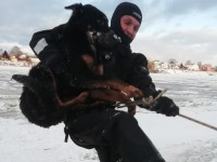 В Твери спасатели помогли собаке выбраться из ледяной Волги  - Новости ТИА