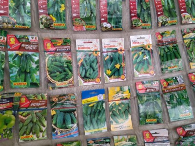 В Тверской области торговали некачественными семенами - новости ТИА