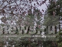 Сидите дома: МЧС предупреждает об усилении ветра в Тверской области - Новости ТИА