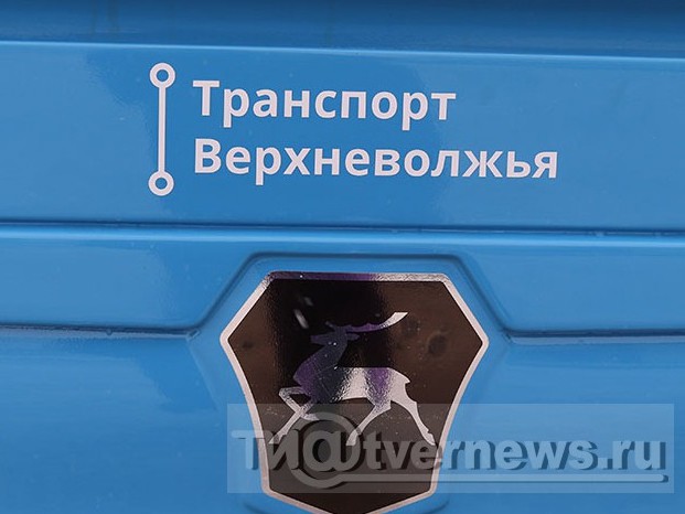 <p></p>