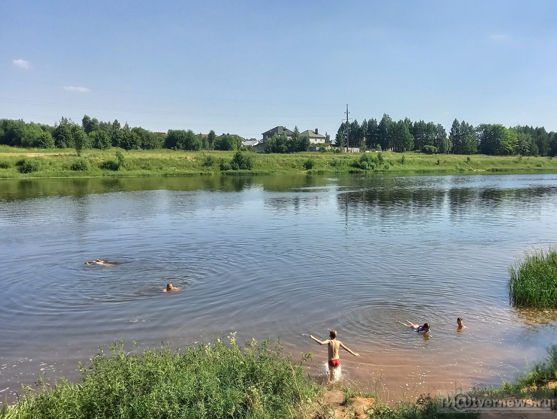 Синоптик тверь. Лето Тверь. Жара Тверь. Прудище Тверь купаться. Купание школьников.