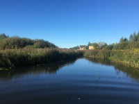 В Твери происходит сброс сточных вод в Бортниковский Ручей - народные новости ТИА