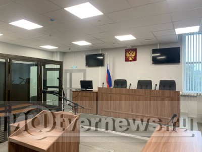 Суд приговорил двух жителей Нелидово к условному сроку за убийство лосихи - Новости ТИА