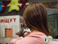 Благотворительная акция «Я буду ждать...» в помощь бездомным животным собрала больше 37 000 рублей - новости ТИА