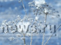 В Тверской области декабрь будет теплее обычного - новости ТИА