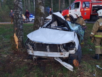 В Зубцовском районе автомобилист погиб после столкновения с деревом - Новости ТИА