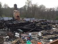 На месте сгоревшего дома под Тверью остались жить 20 хаски, кокер-спаниель и корова - Новости ТИА