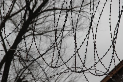 В Тверской области завели дело на сотрудников колонии, избивших заключённого  - Новости ТИА