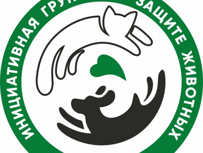 Тверские зоозащитники получат президентский грант на помощь животным  - новости ТИА