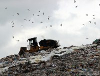 Будет ли в Нелидово мусороперерабатывающий кластер? - блоги ТИА