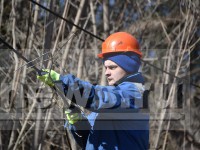 Около 2300 жителей Тверской области остаются без электроэнергии - Новости ТИА