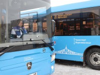 Опубликованы маршруты, на которые с 3 февраля выйдут новые автобусы  - новости ТИА