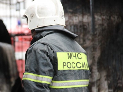 В Тверской области ликвидировали торфяной пожар - новости ТИА