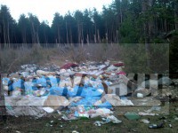 В деревне Дмитровское Заволжского с/п лес превратили в свалку - Народные Новости ТИА