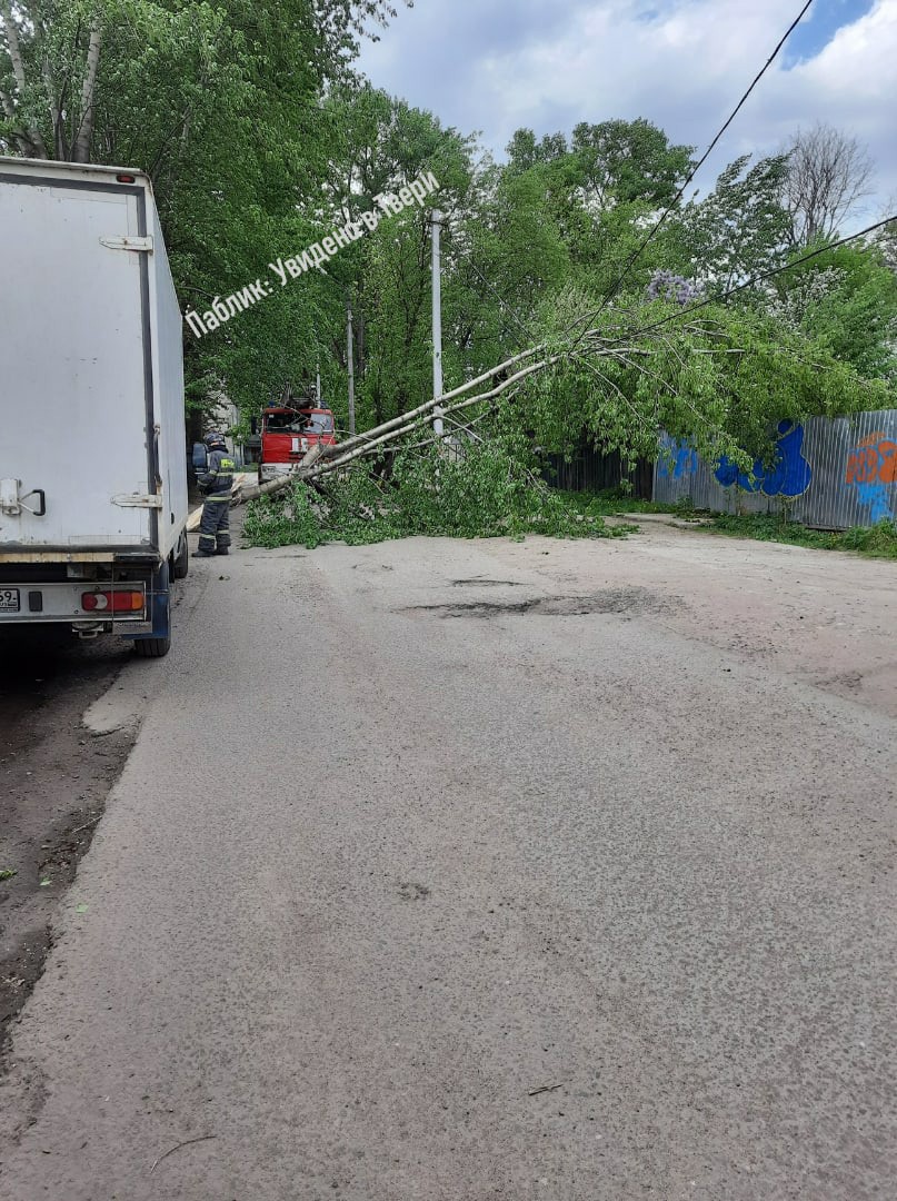 Сильный ветер валит деревья в Твери | 19.05.2021 | Тверь - БезФормата