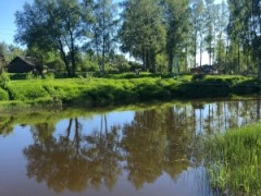 В Тверской области в реке нашли тело пенсионерки - новости ТИА