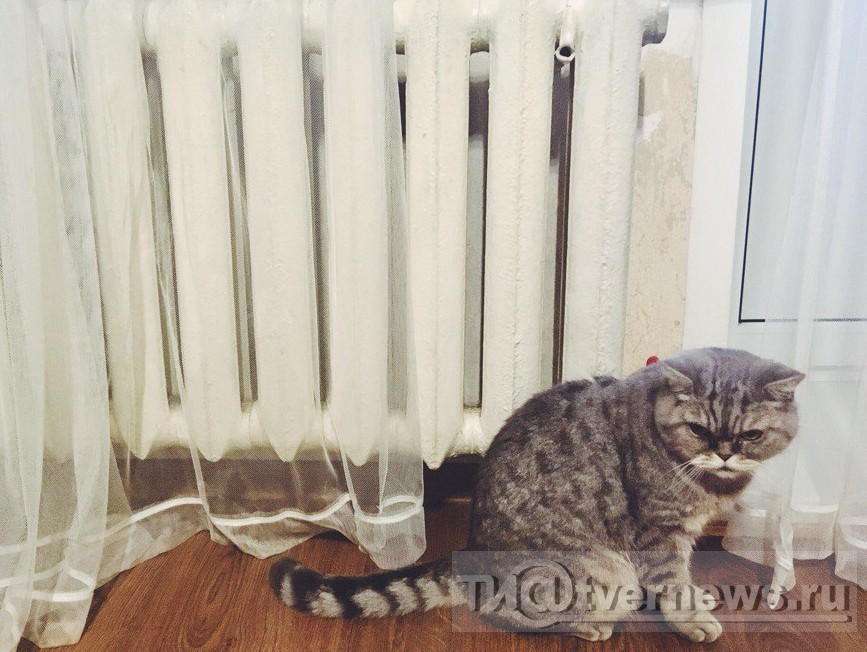 <strong>Автор: ТИА</strong><p></p>
