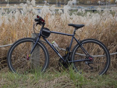 В Тверской области полиция нашла и вернула владельцу украденный велосипед - Новости ТИА
