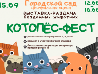 Развлечения для детей, концерт с Евгением Окуневым и котики: в Твери пройдёт "Котопёс-фест" - Новости ТИА