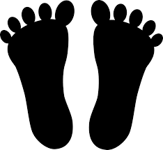 <p></p>